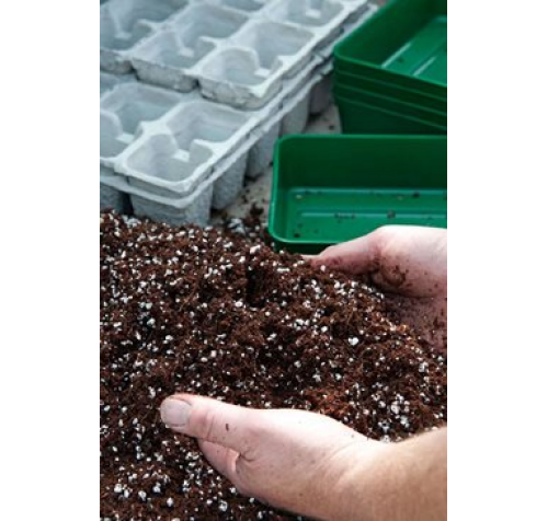 60ltr Coir Seed & Cutting Compost 